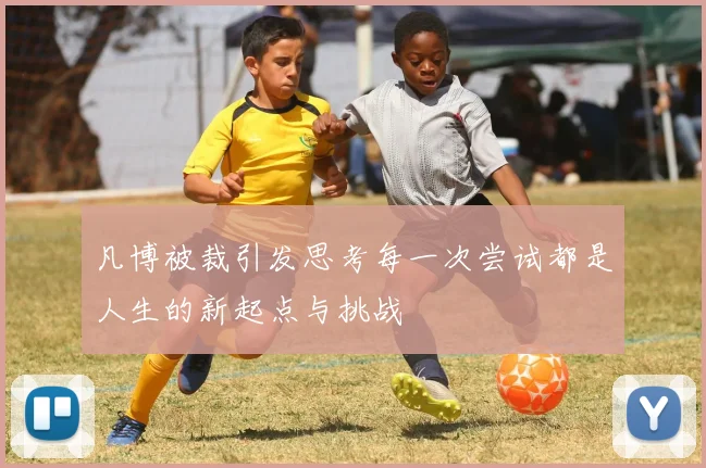 凡博被裁引发思考每一次尝试都是人生的新起点与挑战
