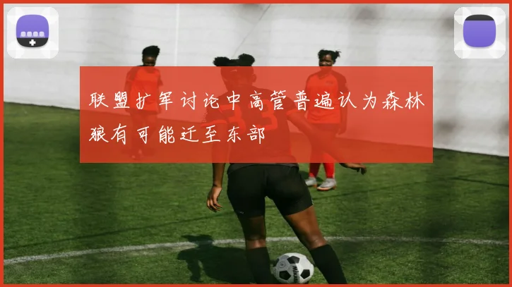 联盟扩军讨论中高管普遍认为森林狼有可能迁至东部