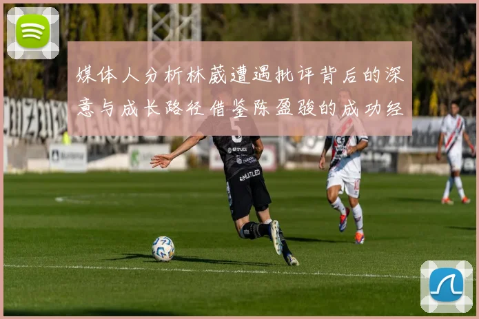 媒体人分析林葳遭遇批评背后的深意与成长路径借鉴陈盈骏的成功经验
