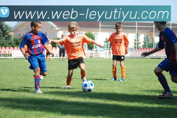 乐鱼体育平台生态图