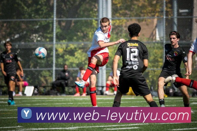 乐鱼体育APP 封面图