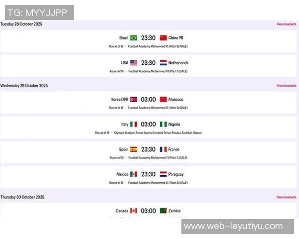 亚洲足球强队出炉八支球队直通世界杯两队争夺最后名额